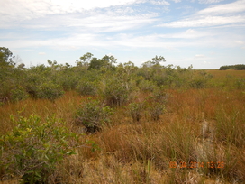 P090